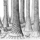 Illustration for article titled A Fossil Tropical Forest Is Helping Solve an Ancient Climate Mystery